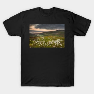 Glyn Tarell from Craig Cerrig-gleisiad with Pen y Fan and Corn Du, Brecon Beacons National Park, Wales T-Shirt